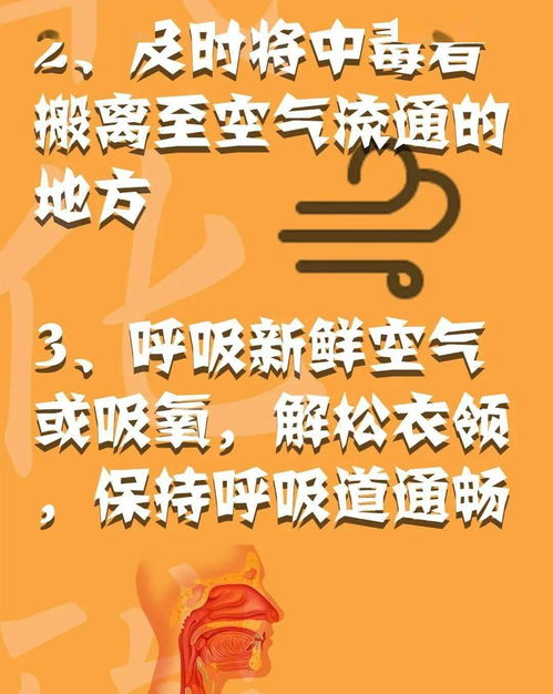 消防安全心中記，平平安安過大年——系列三：消防安全全攻略